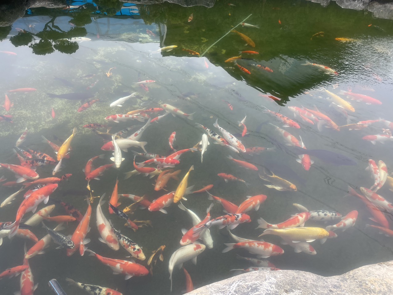 Z5466140320110 7151ee67190204ae94bc41a9de9a11cc