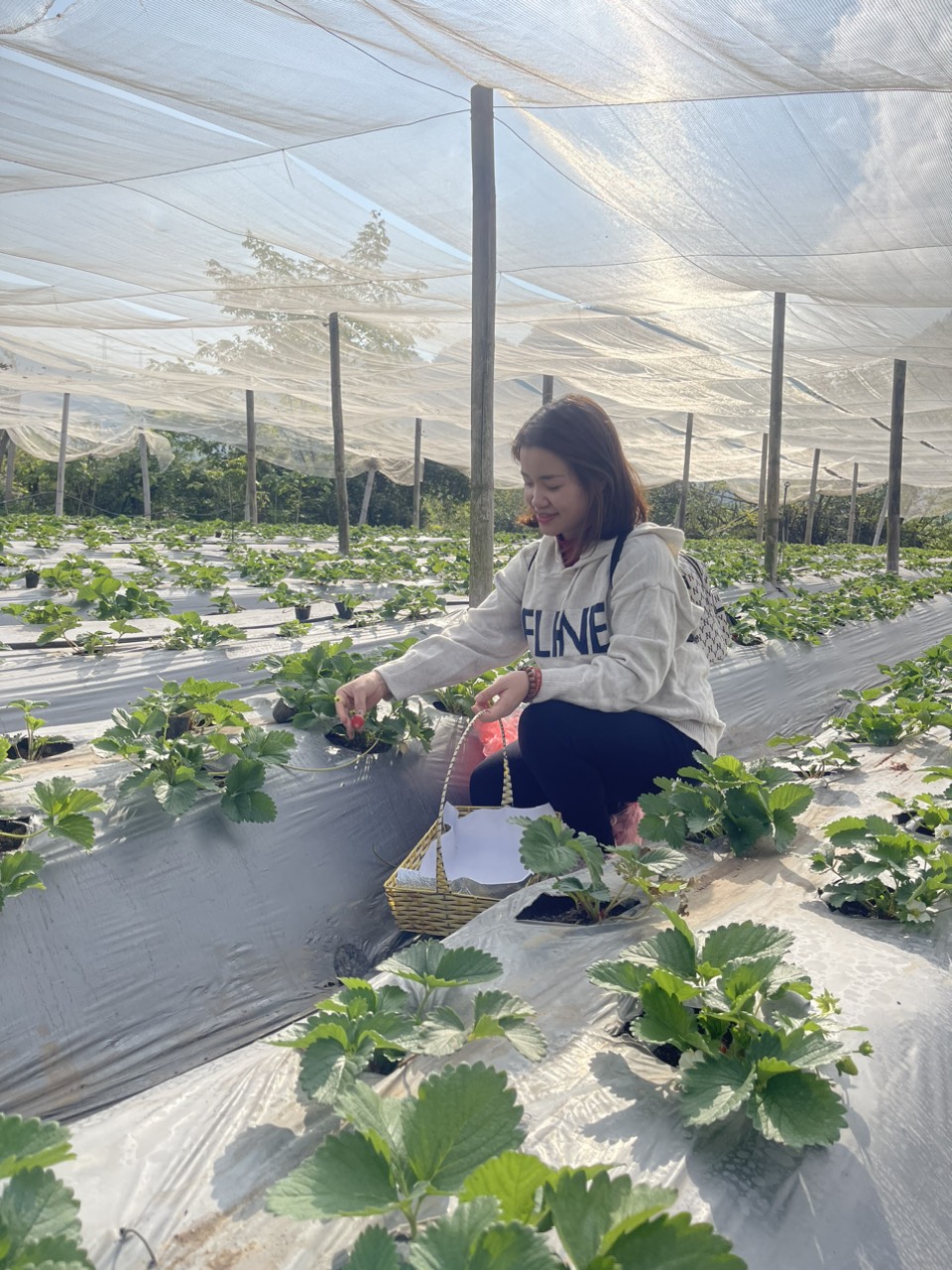 Z5466140327236 F79055b93d6930e3c58c54989d2809d0