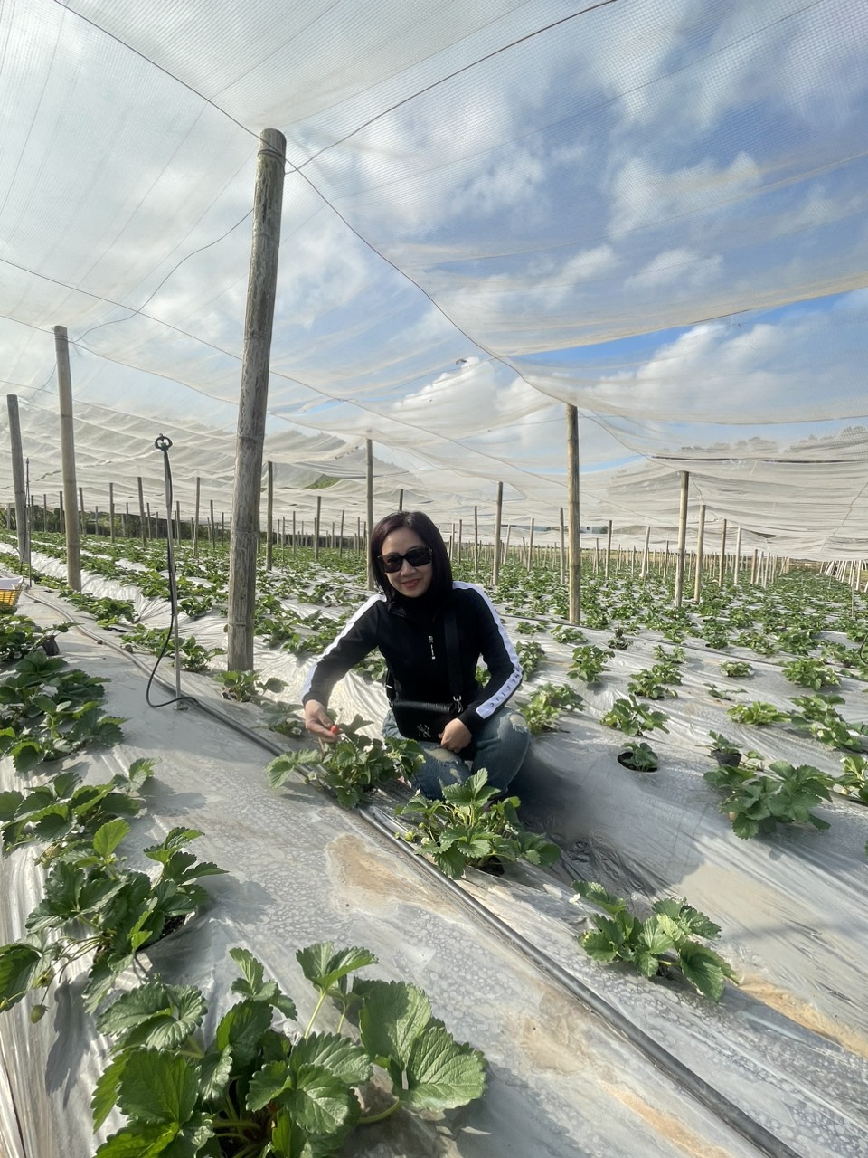 Z5466140342078 B23af420ef9a270ffc83e0f79f6ce1f2