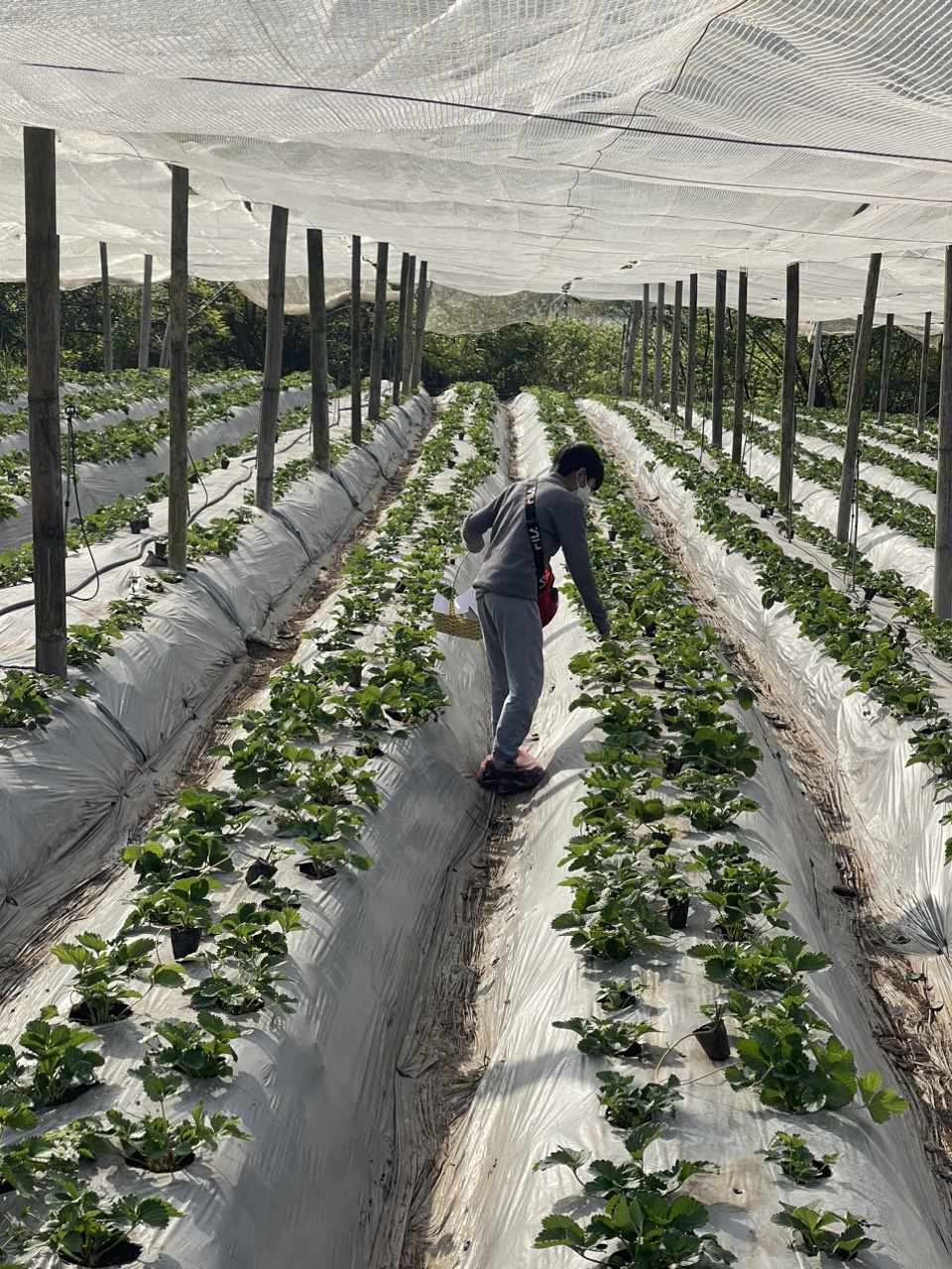 Z5466140351469 9950aa7c42fc70ef239603f6eb191820