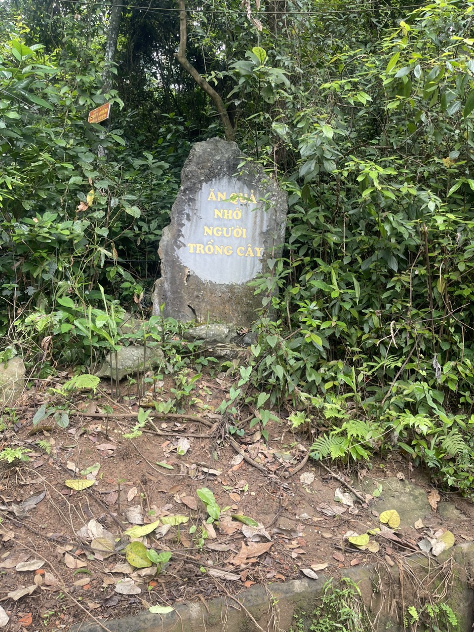 Z5466185548806 Fa5de17936ec94fc8f3d5890a20a1f67